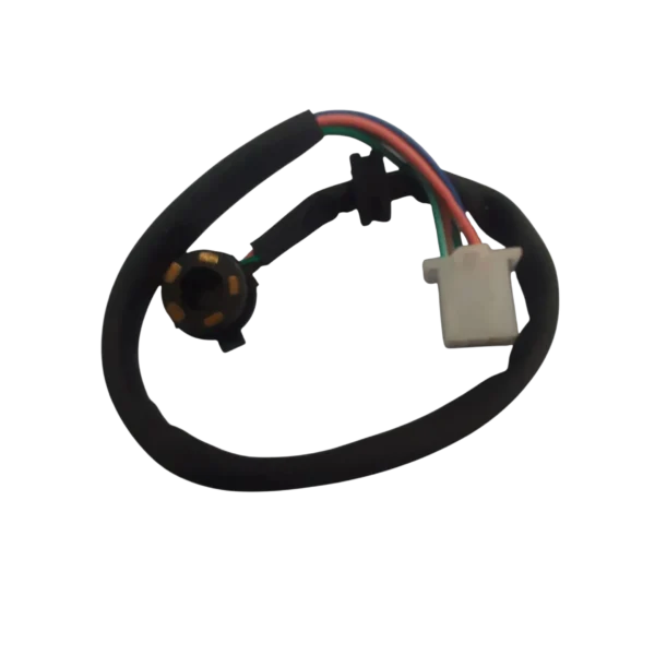 ذغال دنده ویو